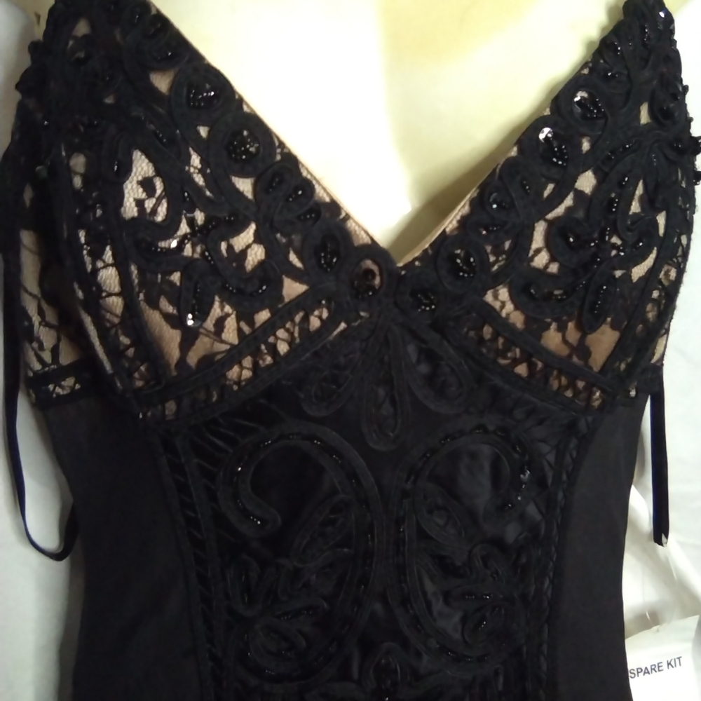 New Sue Wong Absolutely Stunning Dress,"The Rare Earth" 100% Silk